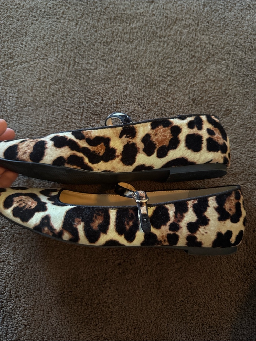 LOFT Leopard Print Mary Jane Flats in Black and Brown - Picture 3 of 6